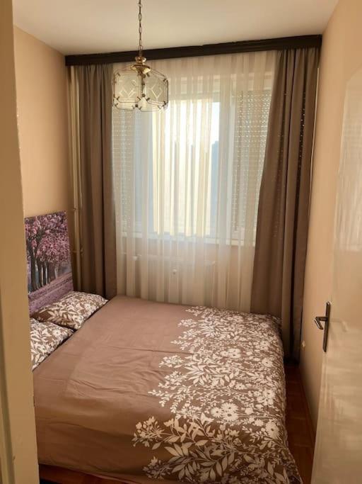 Shesh Hostel Prishtinë Luaran gambar
